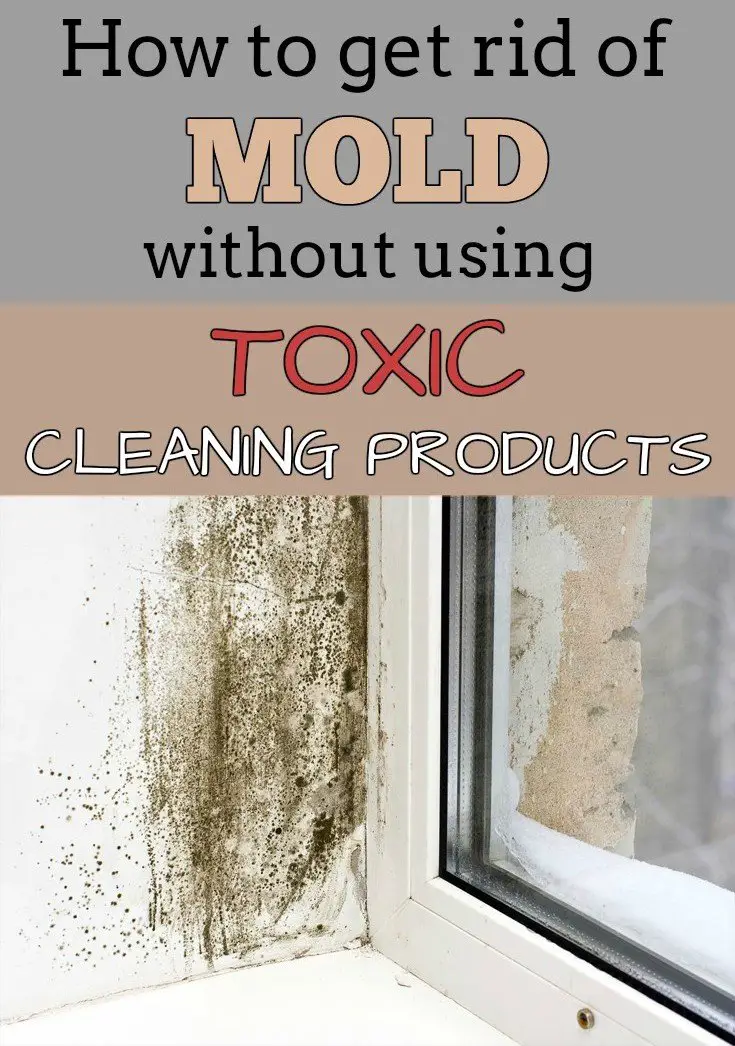 How to get rid of mold without using toxic cleaning products ...