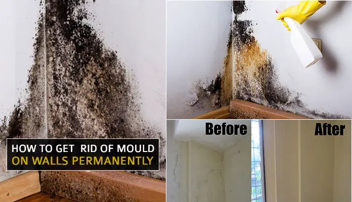 How to Get Rid of Mould on Walls Permanently