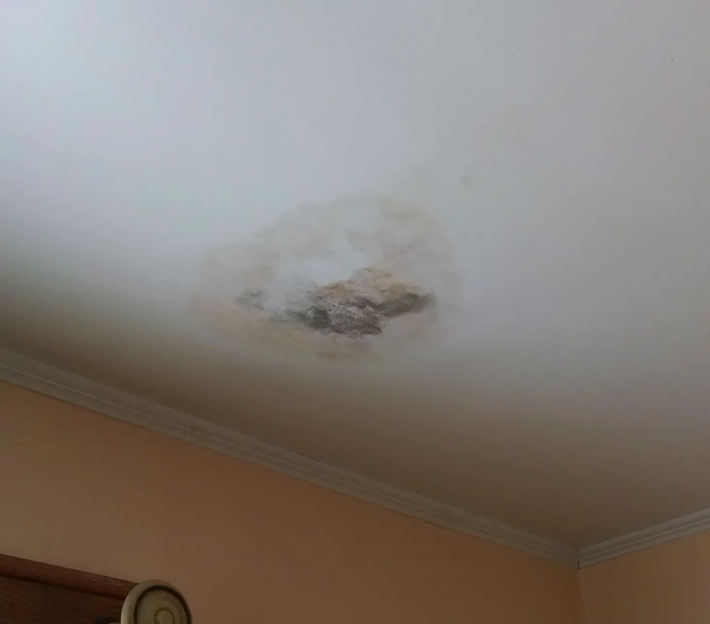 How To Get Rid Of Mould Spots On Ceiling