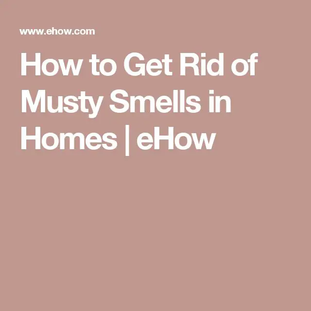 How to Get Rid of Musty Smells in Homes
