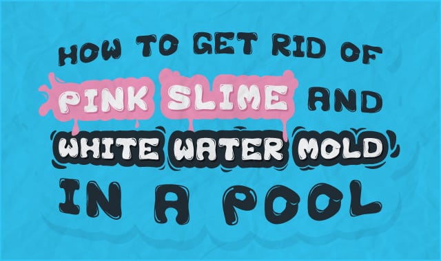 How to Get Rid of Pink Slime and White Water Mold in a Pool