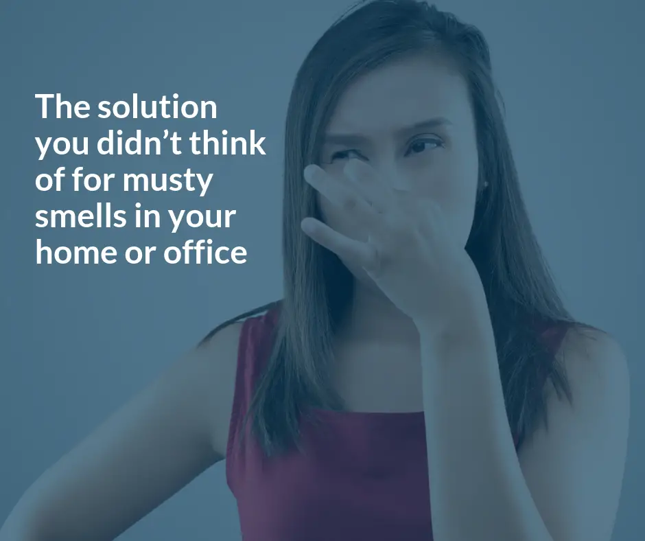 How to Get Rid of the Musty Smell in Your House or ...