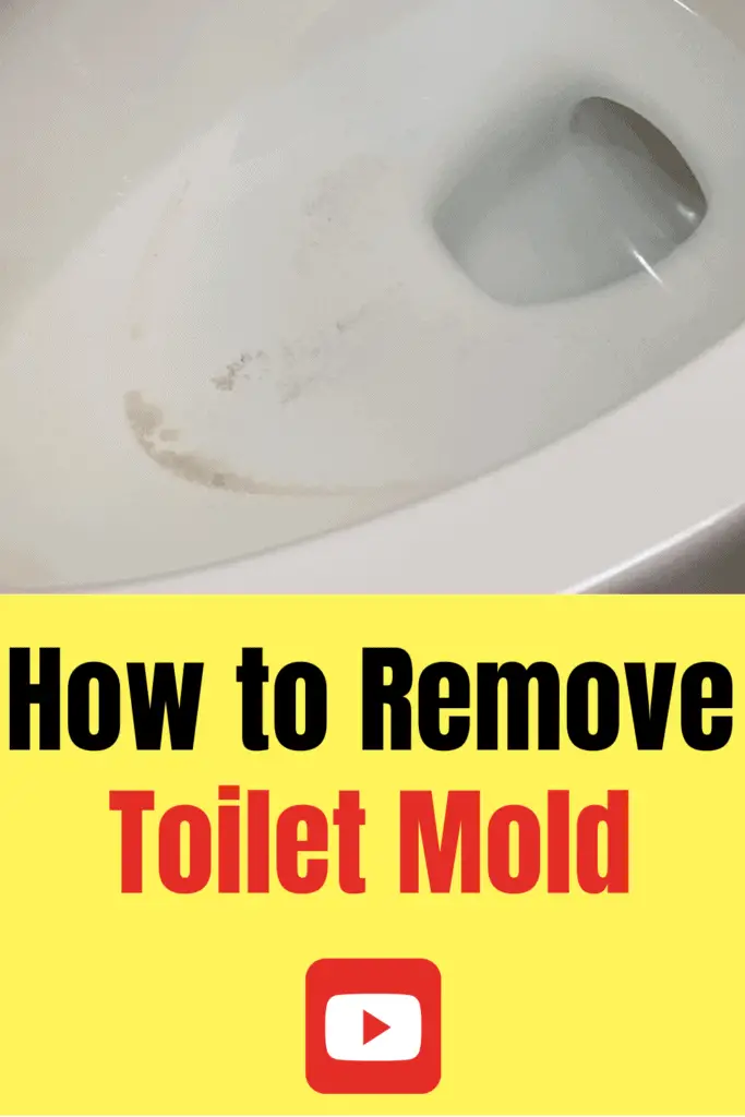 How to Get Rid of Toilet Mold â Hacks by Dad