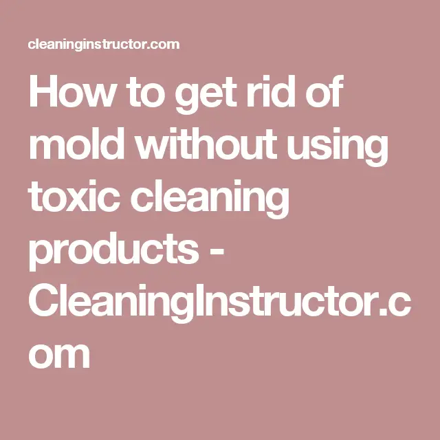How To Get Rid Of Toxic Mold In Your Home