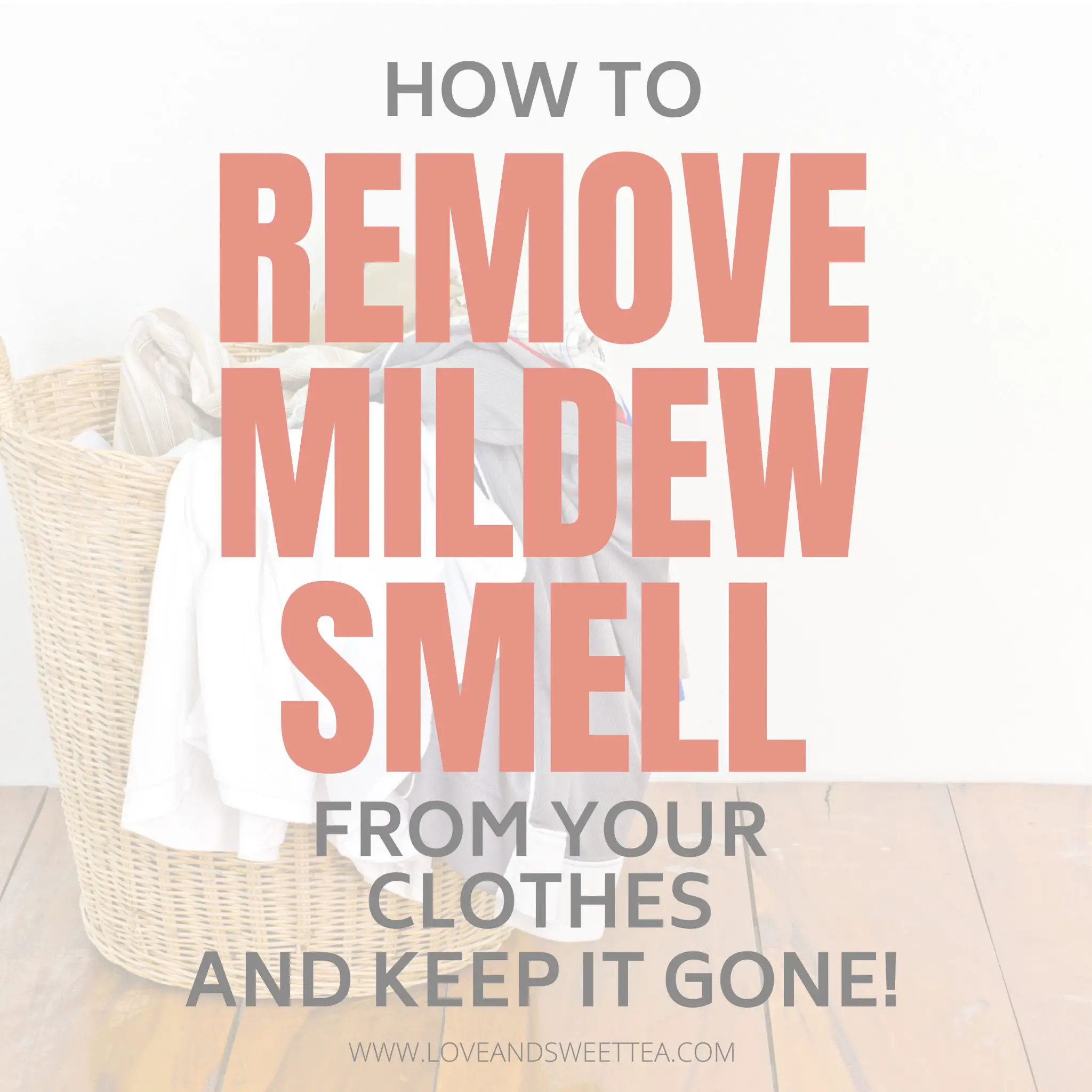 How To Get That Mildew Smell Out of Your Clothes For Good! (Hint ...