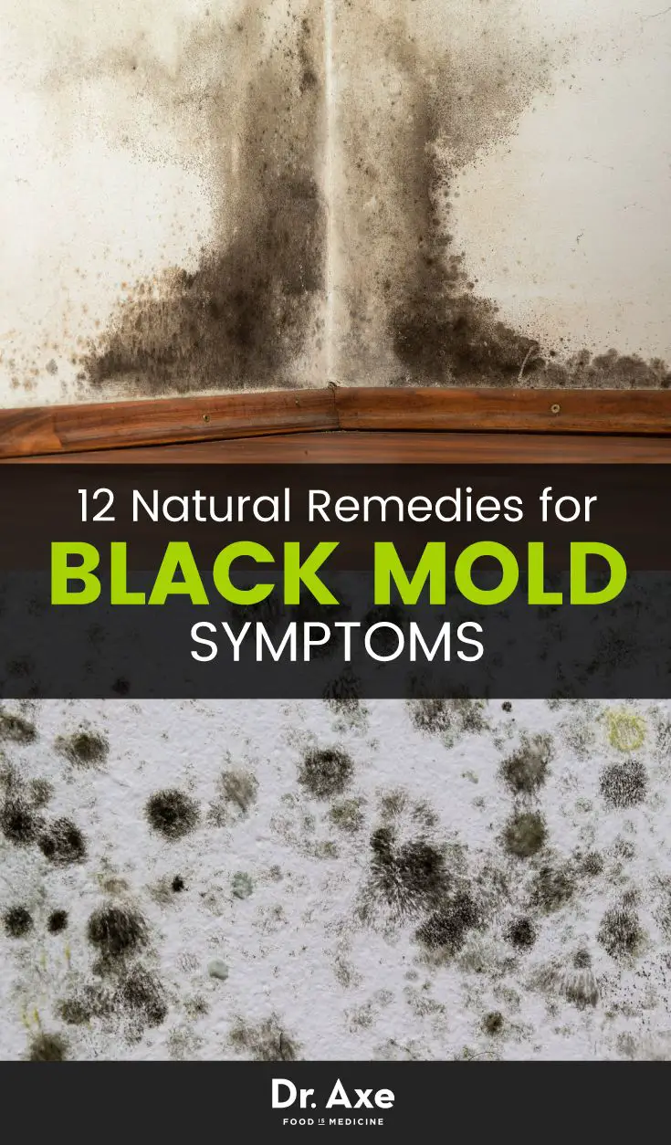 How To Identify Black Mold In Your House