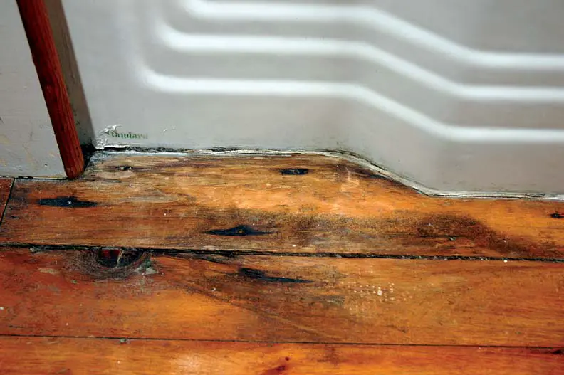 How To Kill Black Mold On Wood Floor