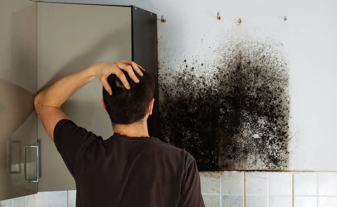 How To Kill Mold on Drywall