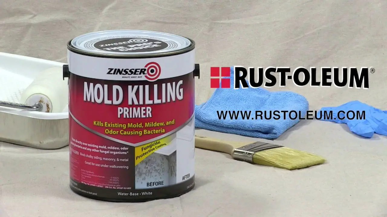 How To Kill Mold On Painted Wood