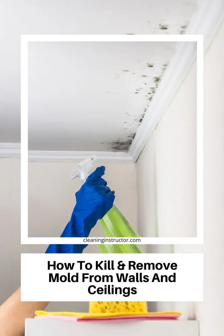 How To Kill &  Remove Mold From Walls And Ceilings