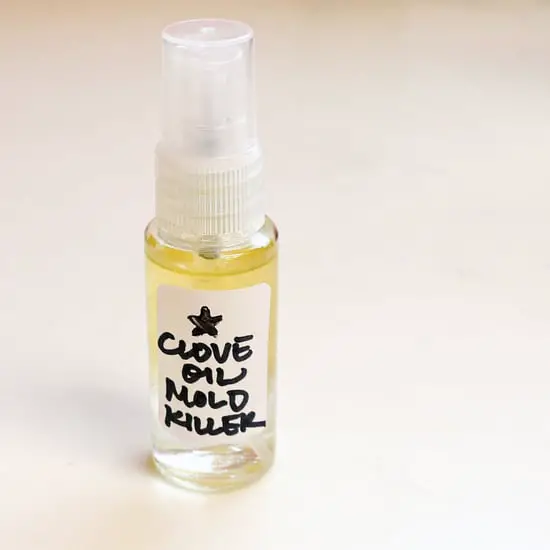 How to Make Clove Oil to Kill Mold