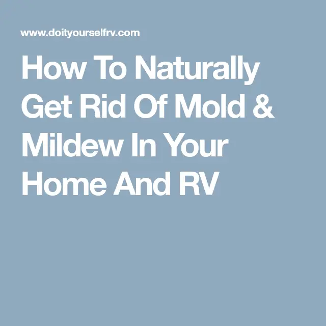 How To Naturally Get Rid Of Mold In Your Home And RV (With images ...