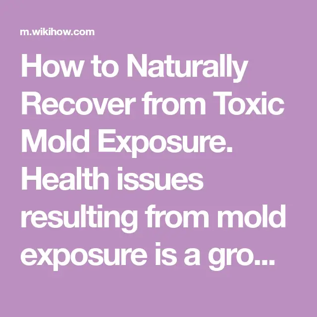 How to Naturally Recover from Toxic Mold Exposure