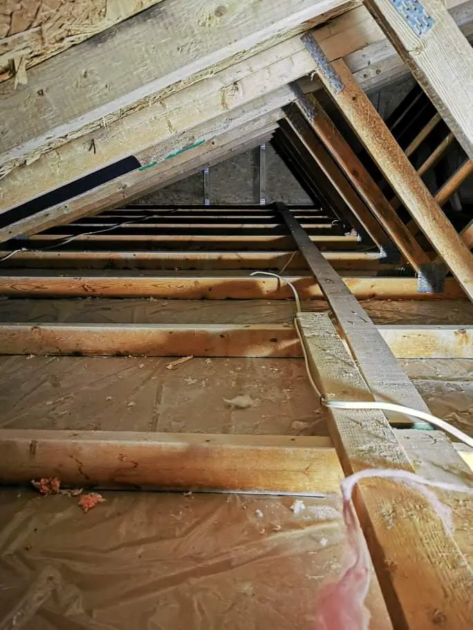How to prevent and remove mold from attics?