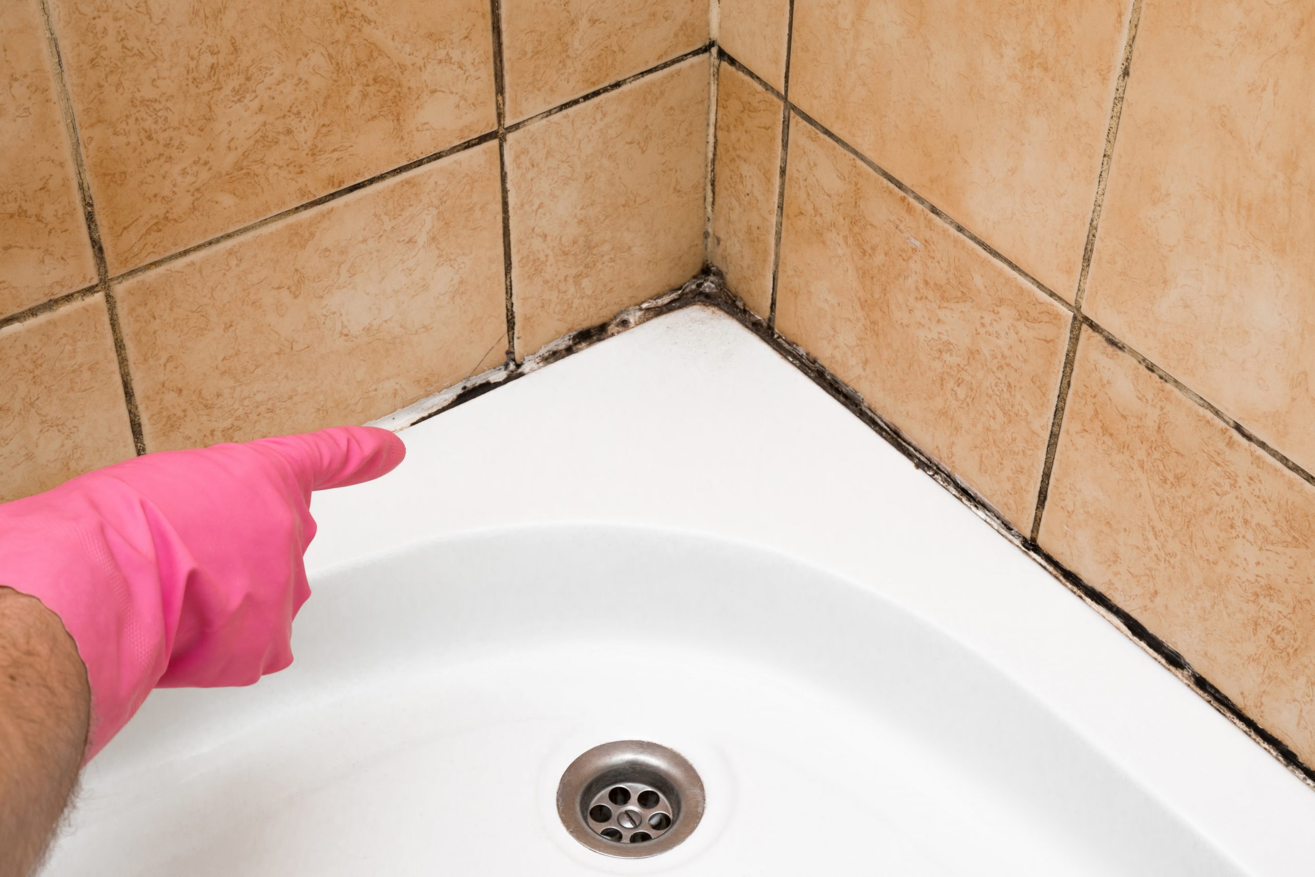 How to Prevent (and Treat) Mold and Mildew in Your Bathroom