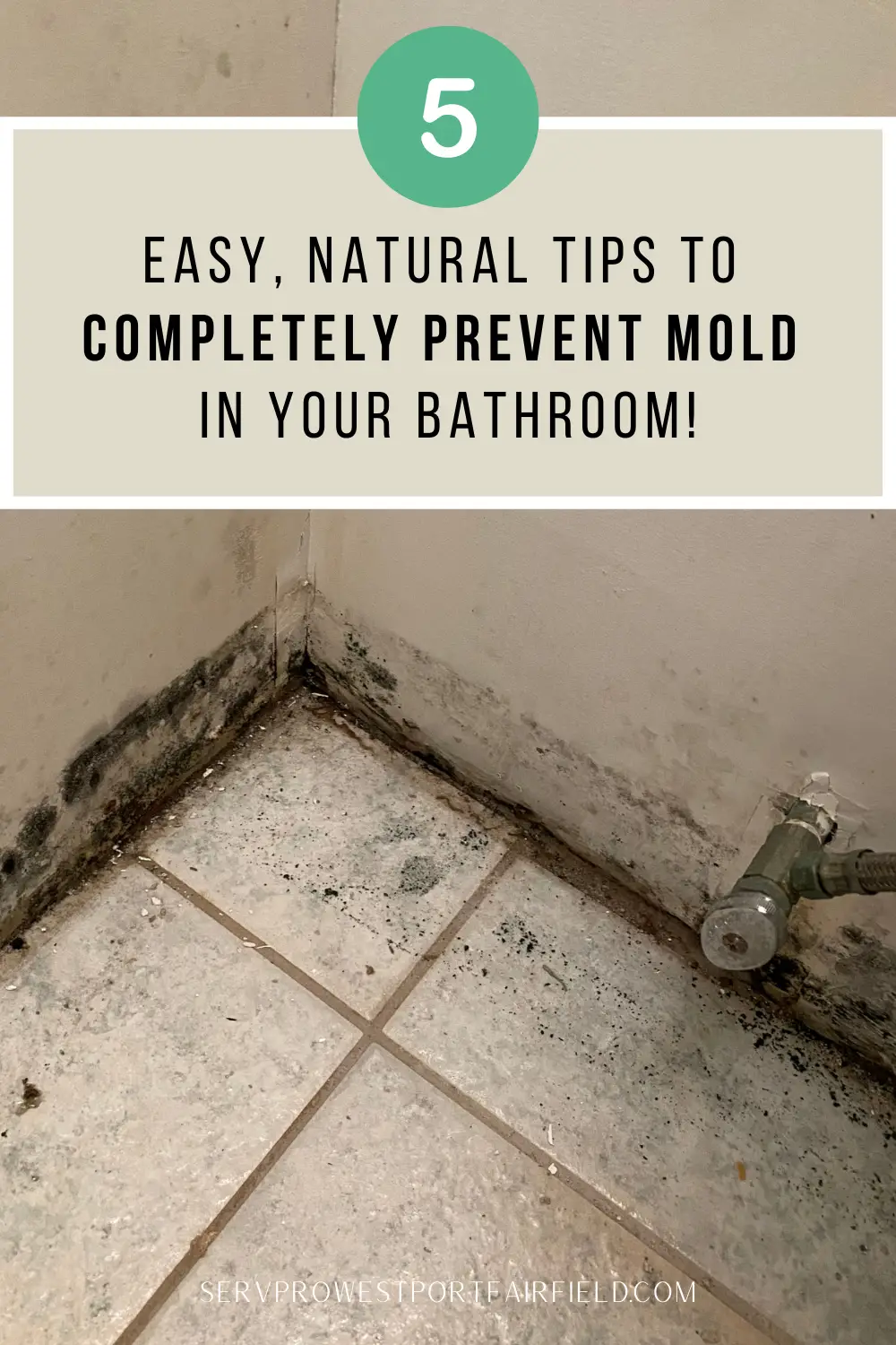 How To Prevent Bathroom Mold Forever!