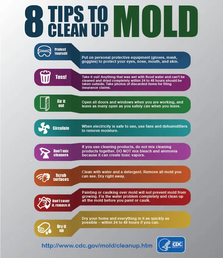 How to Prevent Mold After a Flood