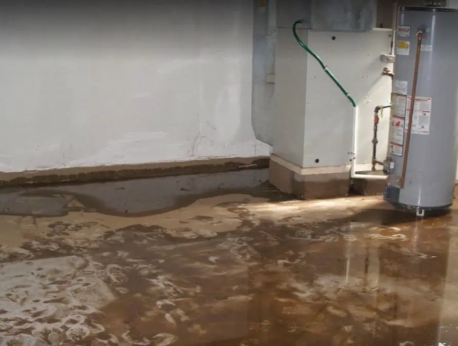 How to Prevent Mold After Your Basement Floods ...