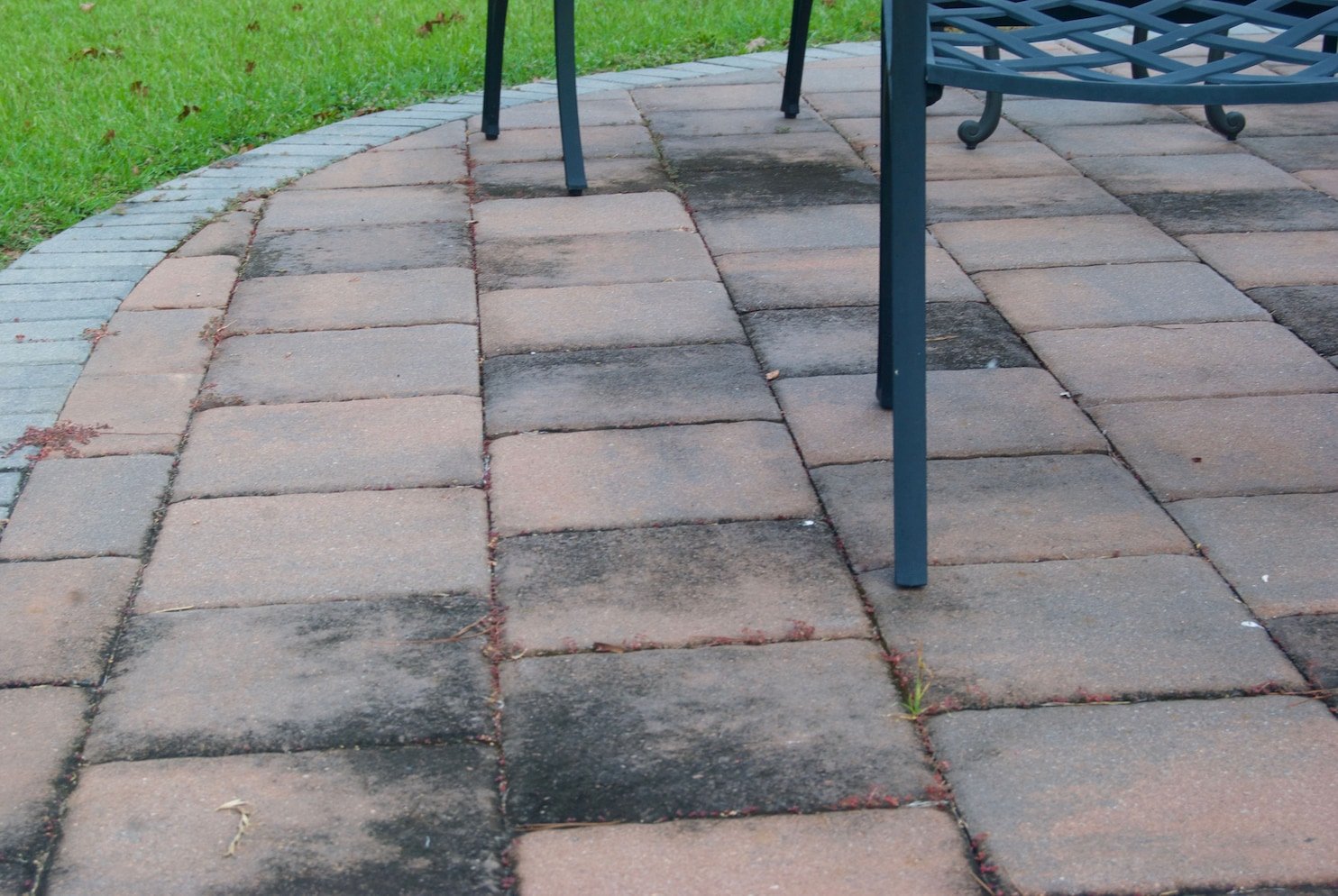 How to prevent mold and mildew from growing on your patio ...