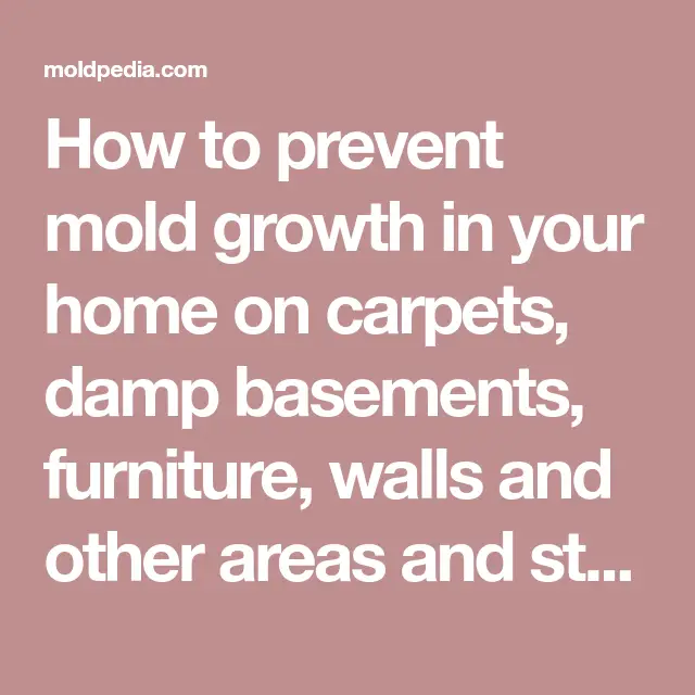 How to prevent mold growth in your home on carpets, damp basements ...