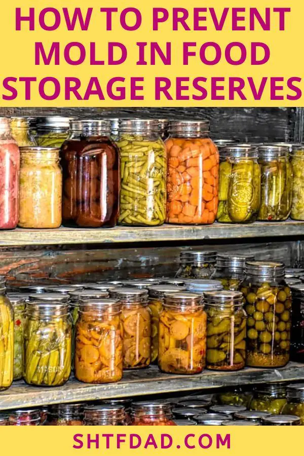 How to Prevent Mold in Food Storage Reserves