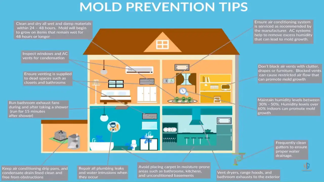 How To Prevent Mold in Your Home: Proven Mold Prevention ...