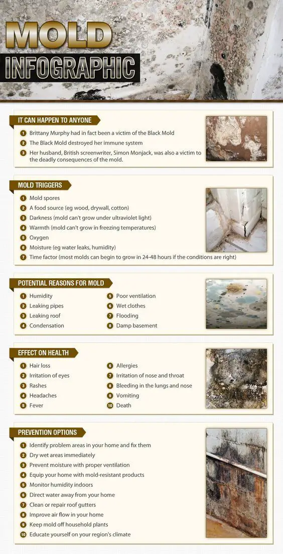 How to prevent mold