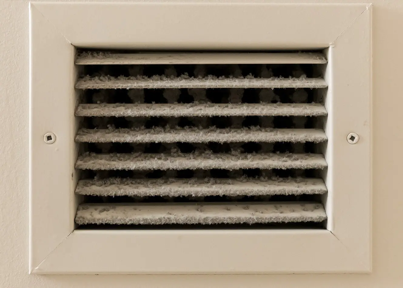 How to Recognize the Smell of Mold From an AC
