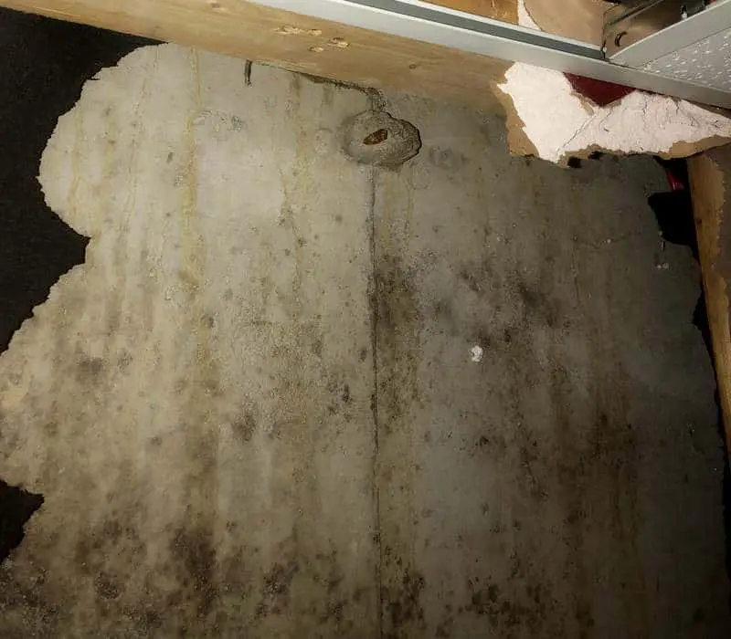How To Remove Black Mold From Basement Block Walls