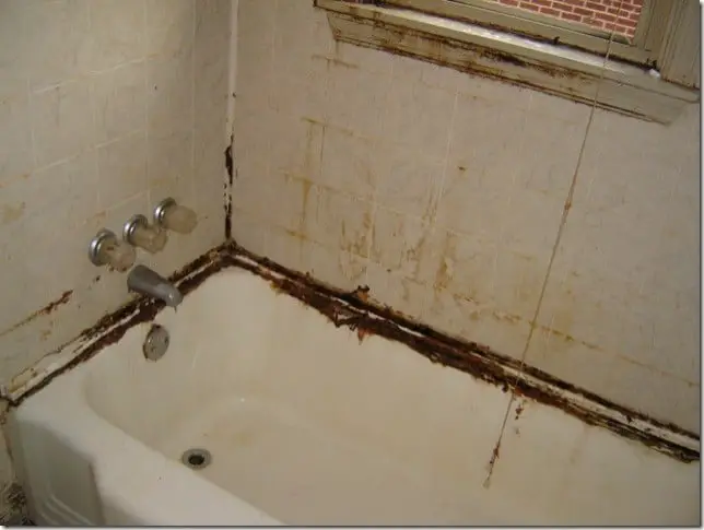 How to Remove Black Mold from Bathtub