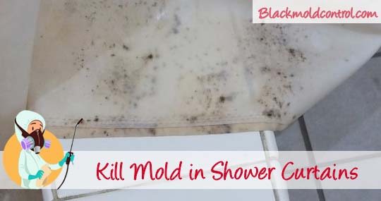 How To Remove Black Mold in Shower Curtains