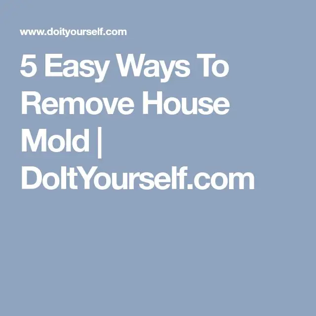 How to Remove Black Mold on Windows