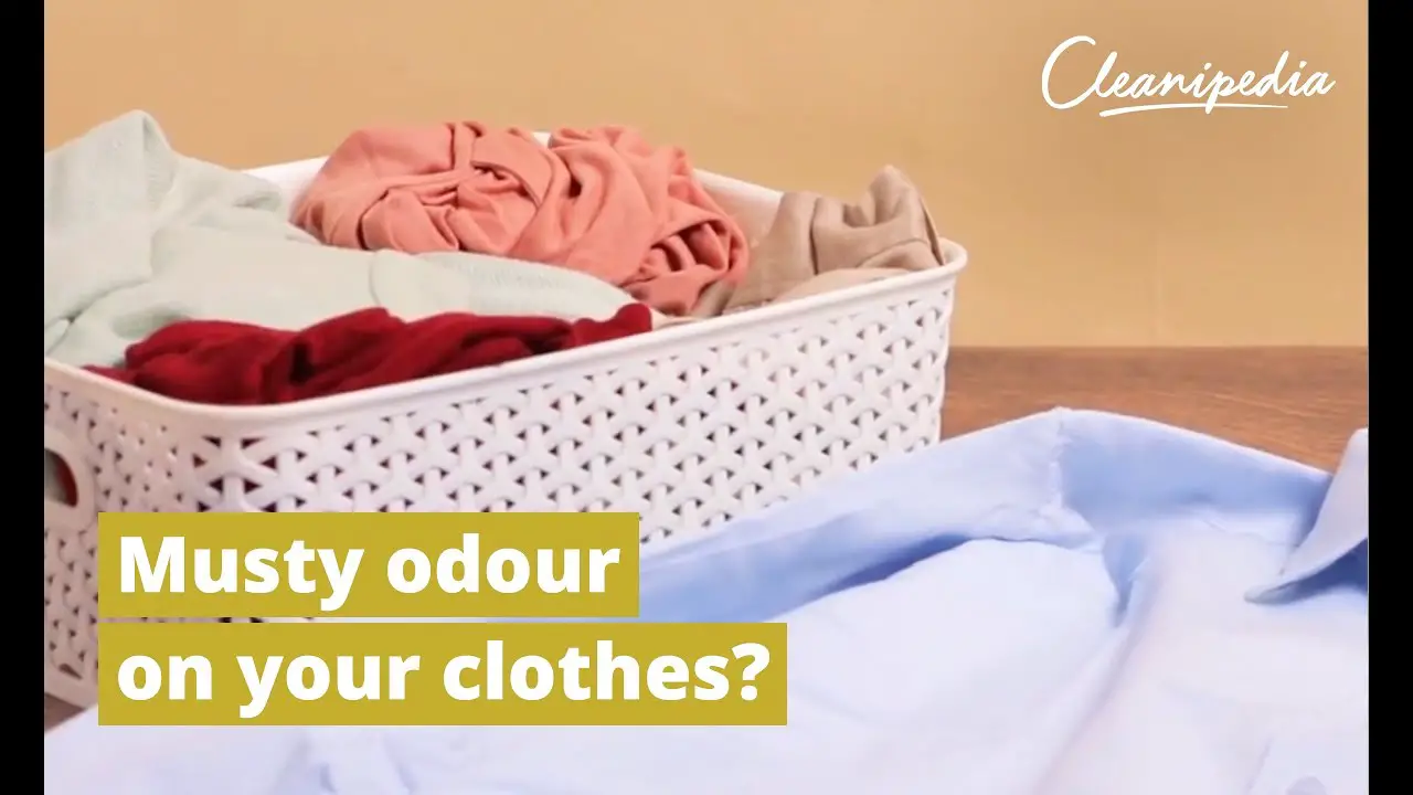 How To Remove Damp Smell From Clothes And Get Rid Of Musty ...