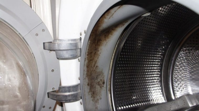 How to Remove Dangerous Mold and Unpleasant Odors from Your Washing ...