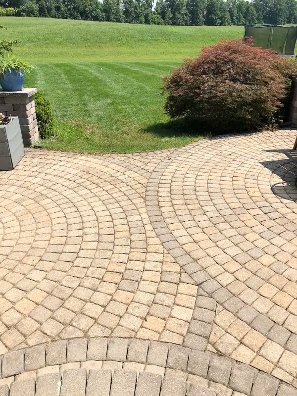 How to Remove Mildew and Mold from Paver Patio and ...