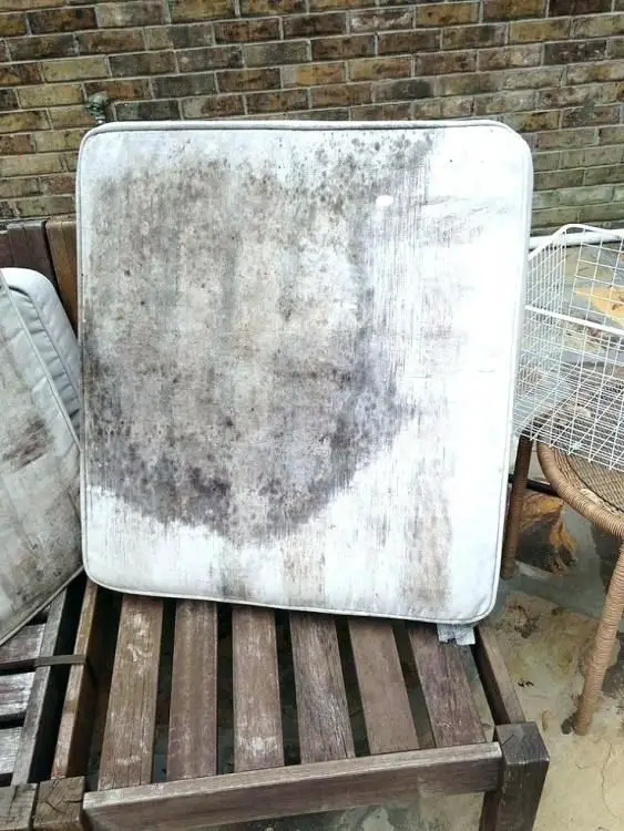How To Remove Mildew From Patio Furniture Cushions