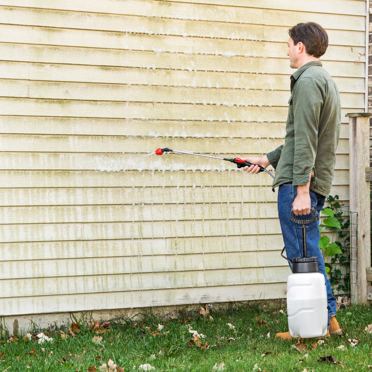 How to Remove Mildew From Siding