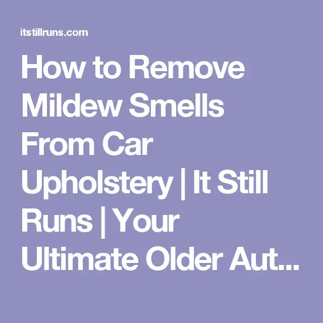 How to Remove Mildew Smells From Car Upholstery