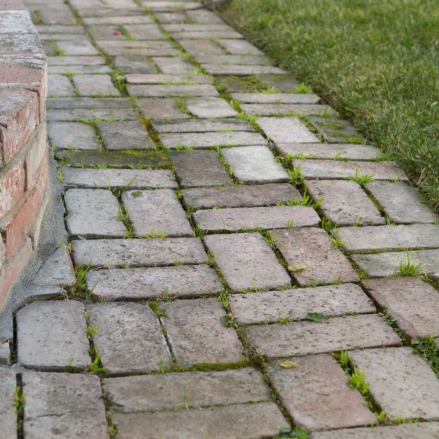 How to Remove Mold and Algae From Brick Pavers