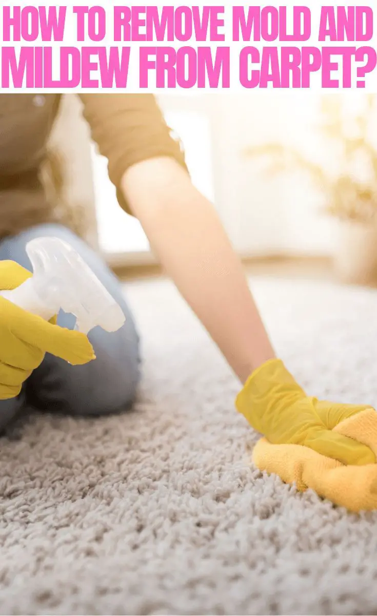 How to Remove Mold and Mildew from Carpet Step by Step? # ...