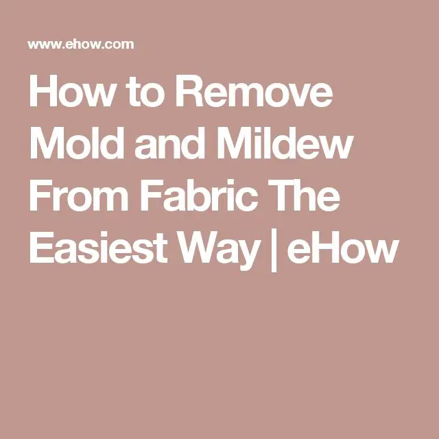 How to Remove Mold and Mildew From Fabric The Easiest Way