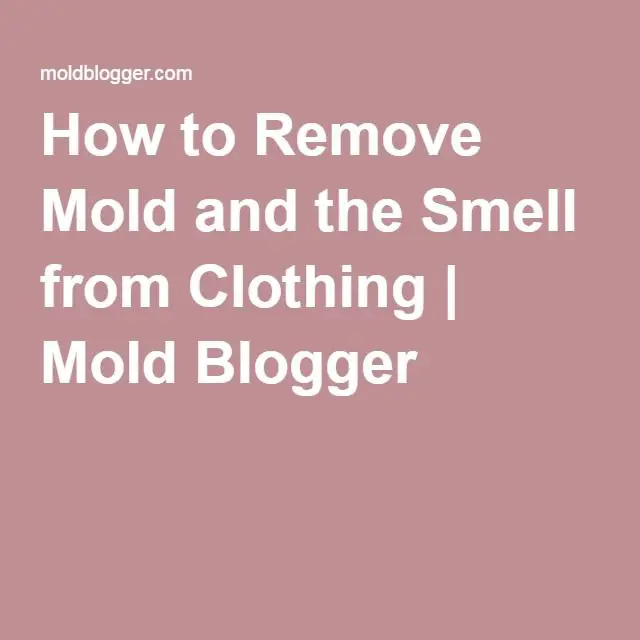 How to Remove Mold and the Smell from Clothing