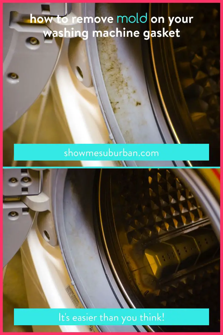 How to Remove Mold From a Washing Machine Seal