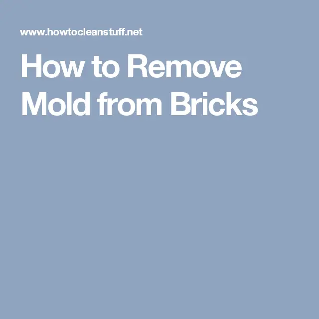 How to Remove Mold from Bricks