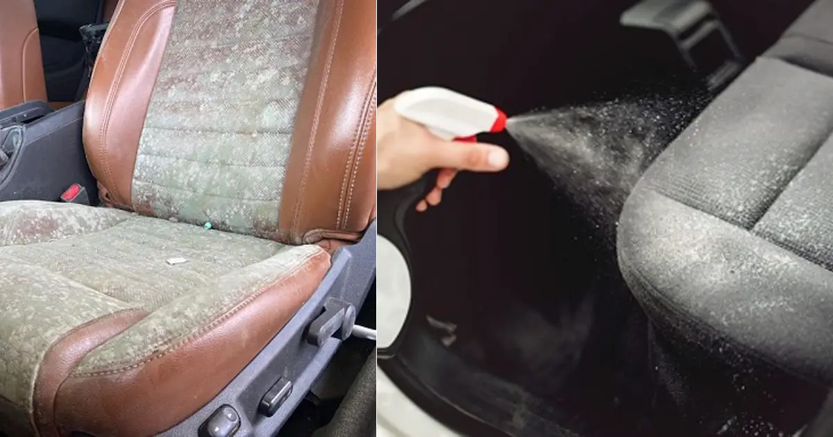 How to Remove Mold From Car Seats