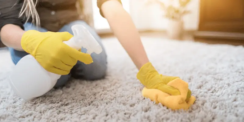 How to Remove Mold from Carpet Naturally