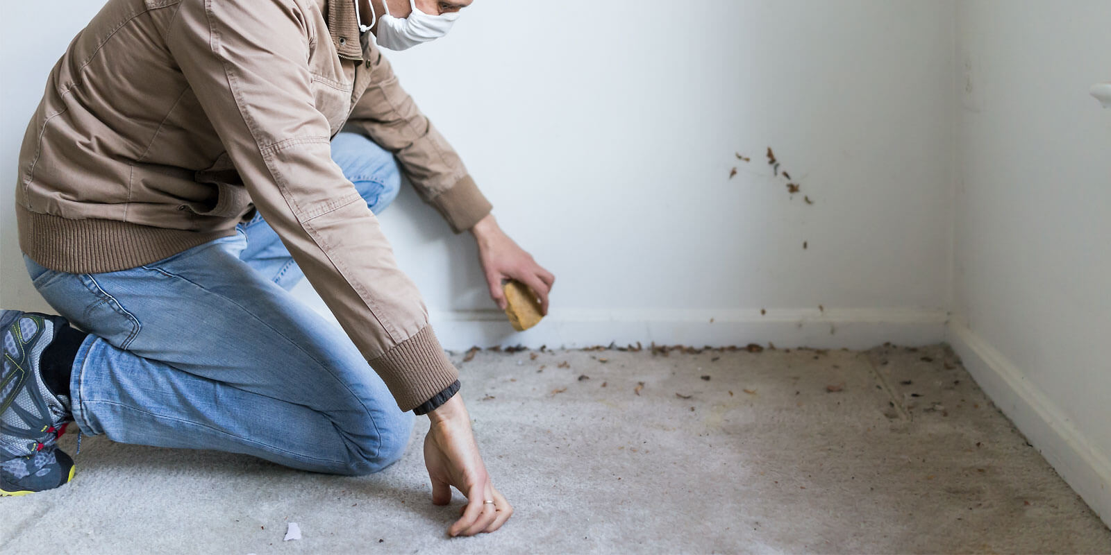 How to Remove Mold from Carpet