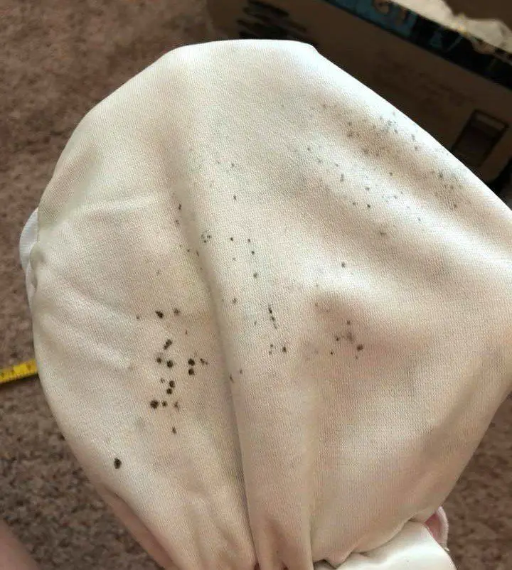How to remove mold from cloth diapers in a few simple steps in 2020 ...