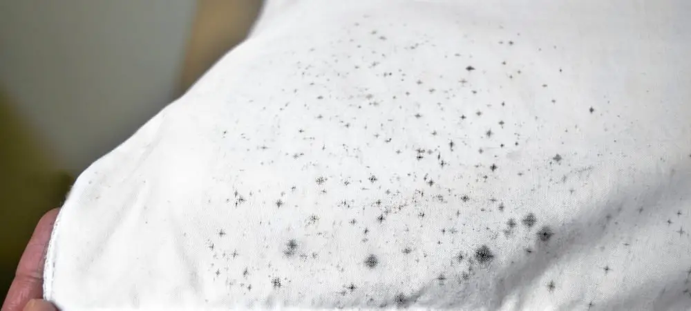 How to Remove Mold from Clothing