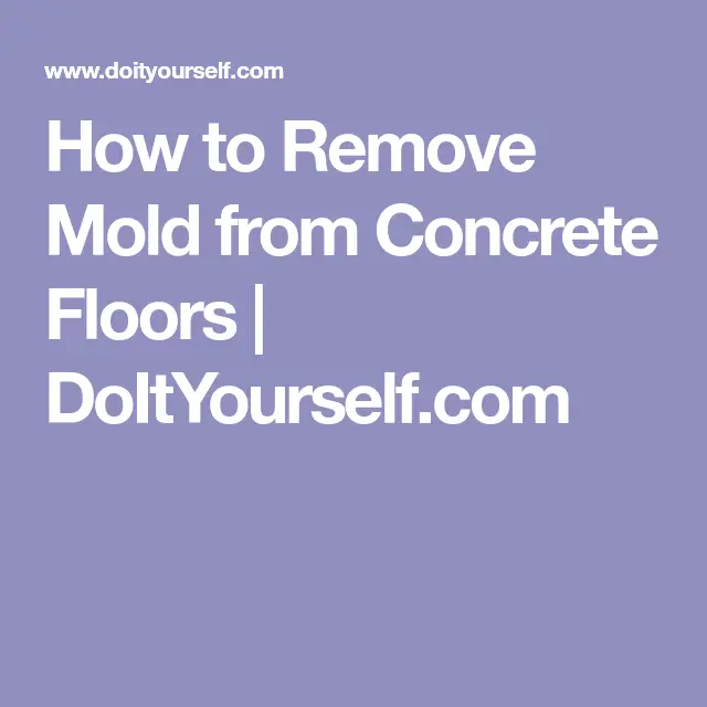 How to Remove Mold from Concrete Floors